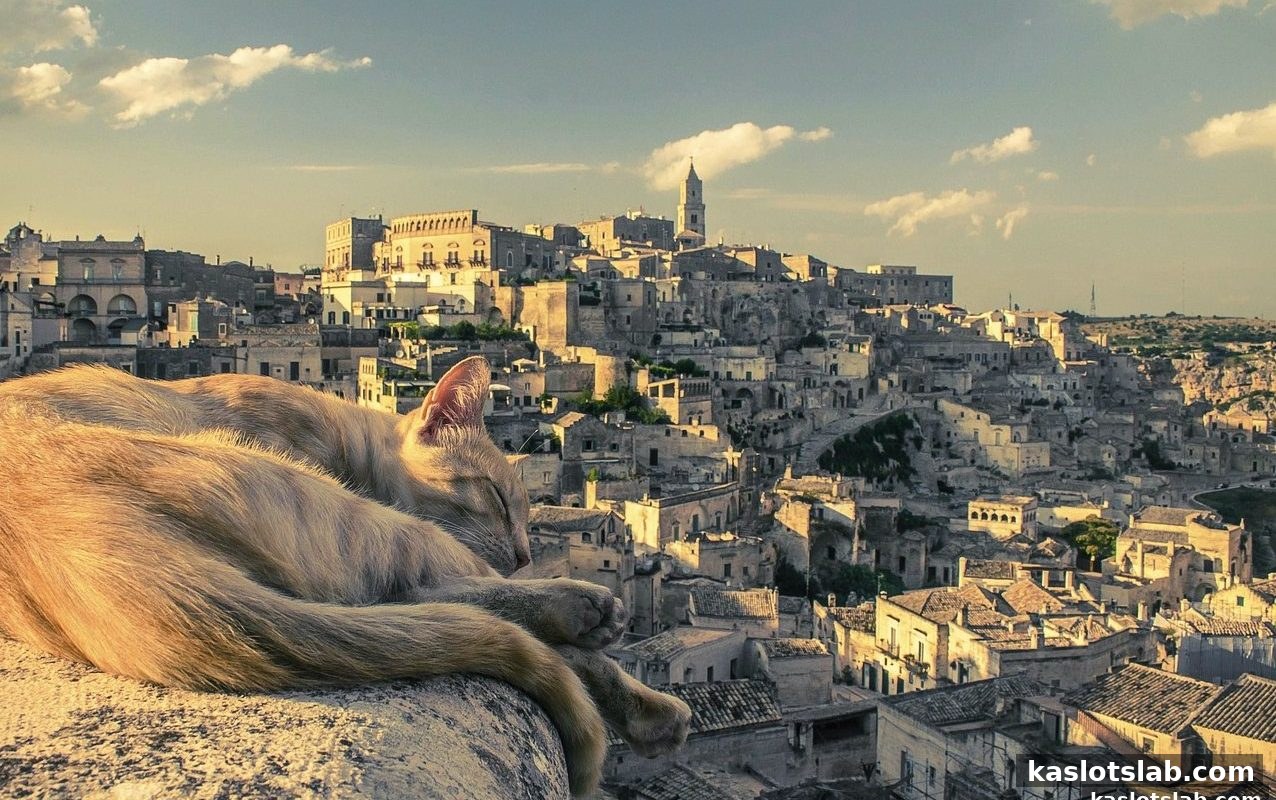 ka电子 JDB捕鱼VIP晋级全攻略：从入门到巅峰的成长之路